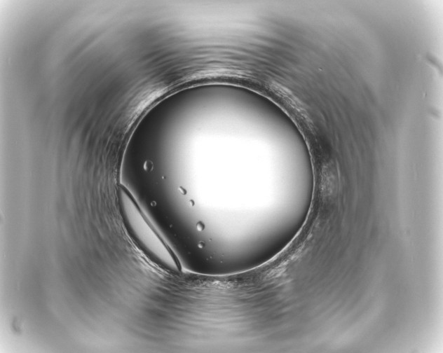 X0000093761321200710301136