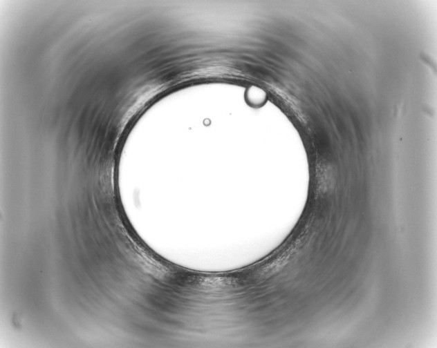 X0000093761322200710301136