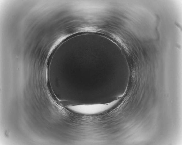 X0000093761323200710301136