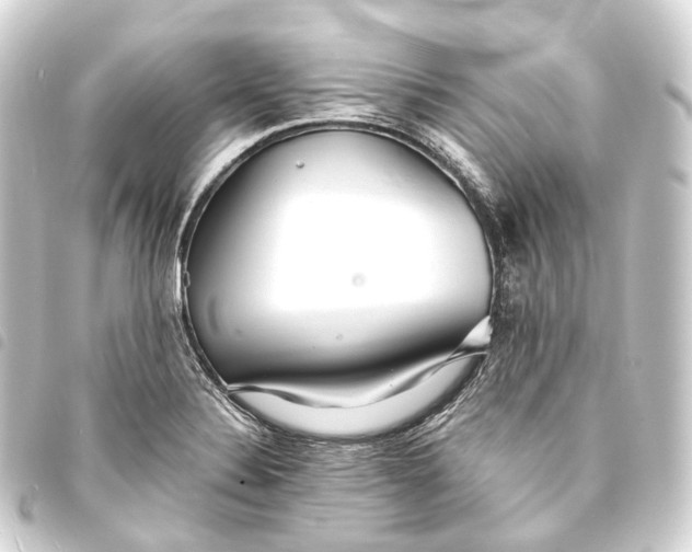 X0000093761324200710301136