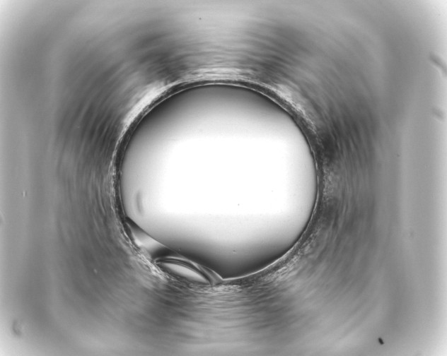 X0000093761325200710301136