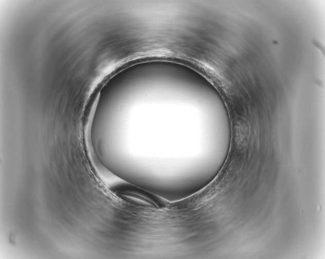 X0000093761326200710301136