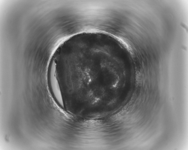 X0000093761327200710301136