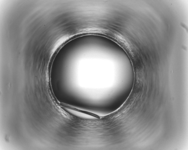 X0000093761328200710301136