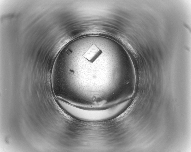 X0000093761329200710301136