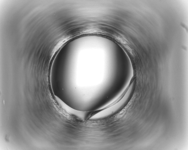 X0000093761330200710301136