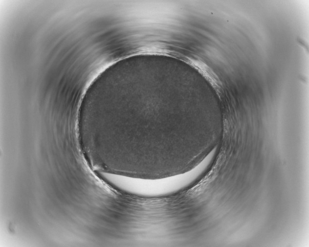 X0000093761331200710301136