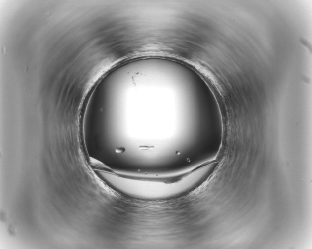 X0000093761333200710301136