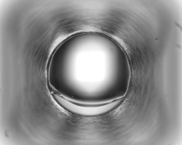 X0000093761335200710301136