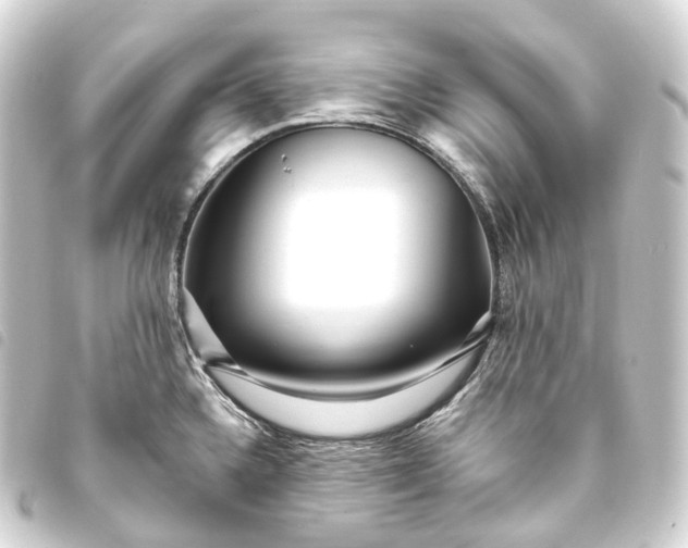 X0000093761336200710301136