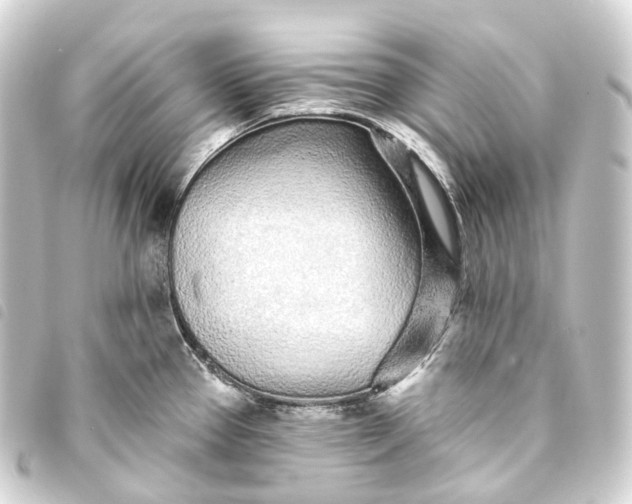 X0000093761337200710301137