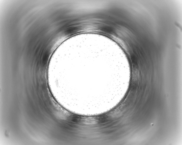 X0000093761338200710301137