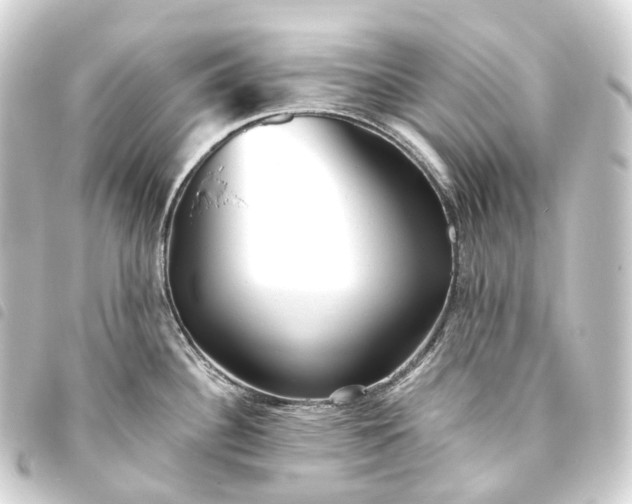 X0000093761340200710301137