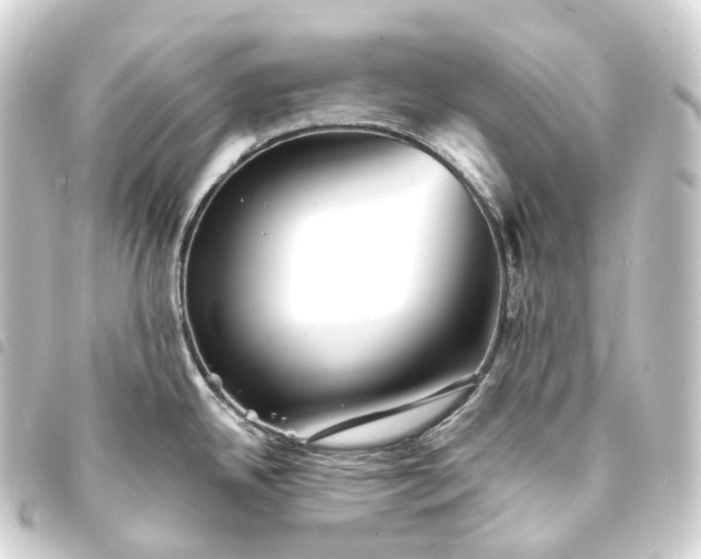 X0000093761342200710301137