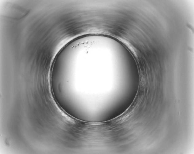 X0000093761343200710301137