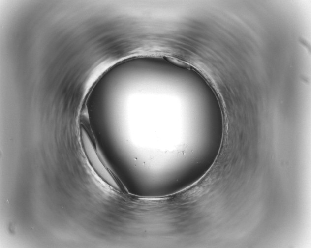 X0000093761344200710301137