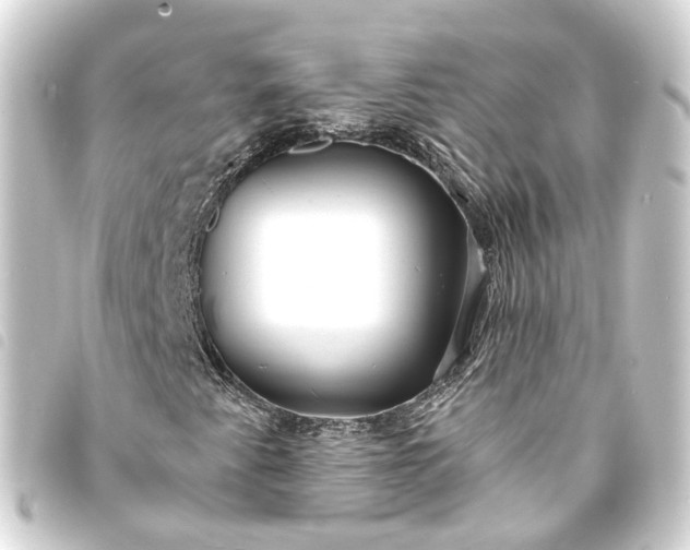 X0000093761345200710301136