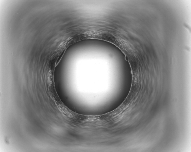 X0000093761346200710301136