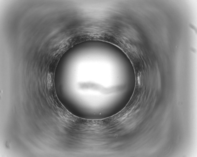 X0000093761347200710301136