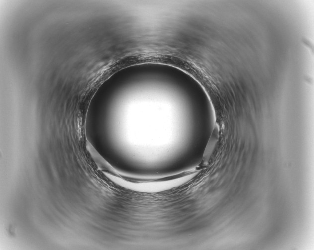 X0000093761348200710301136