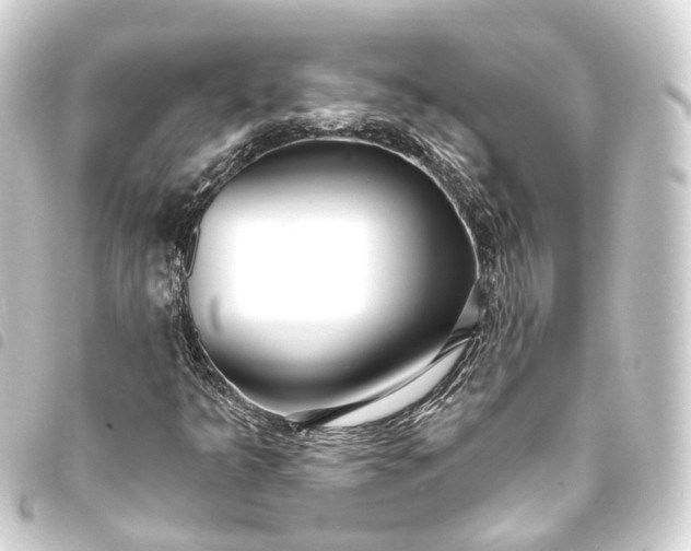 X0000093761349200710301136