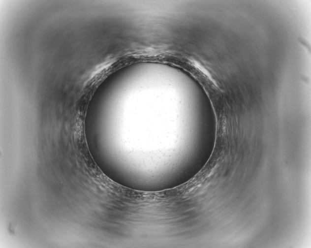 X0000093761350200710301136