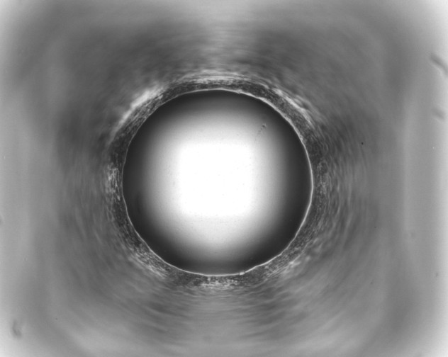 X0000093761351200710301136