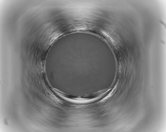 X0000093761353200710301136