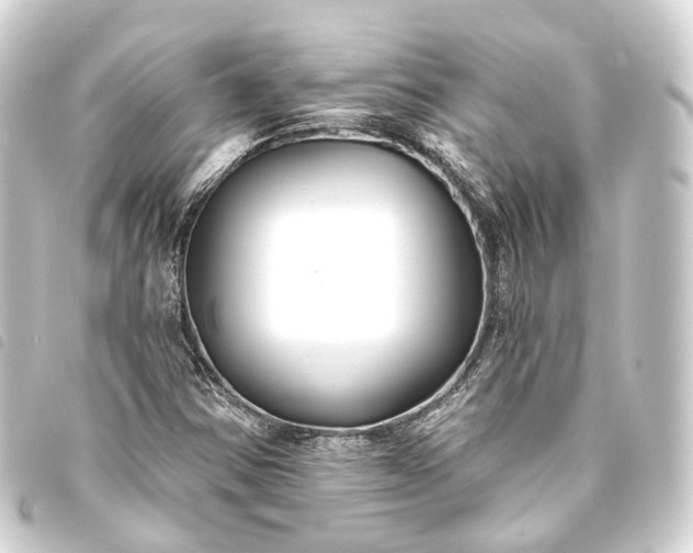 X0000093761354200710301136