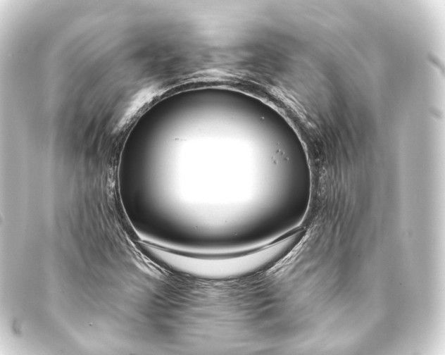 X0000093761355200710301136