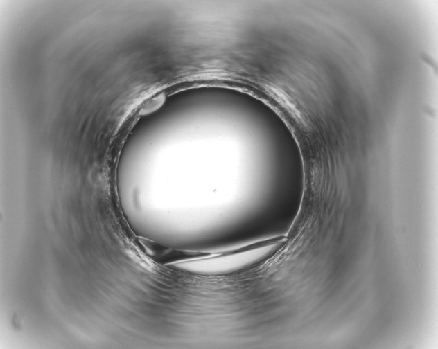 X0000093761356200710301136