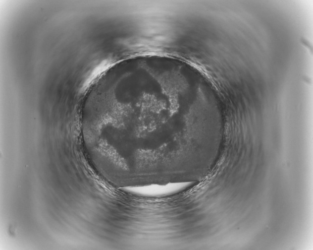 X0000093761359200710301136