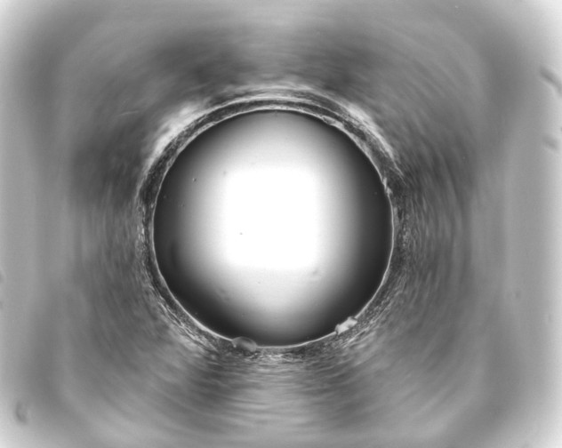 X0000093761360200710301136