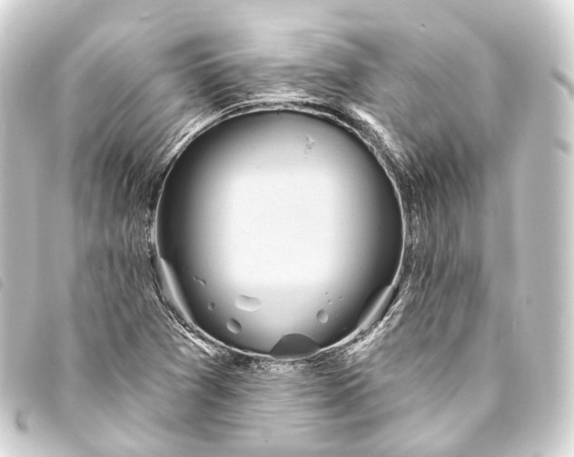 X0000093761361200710301136