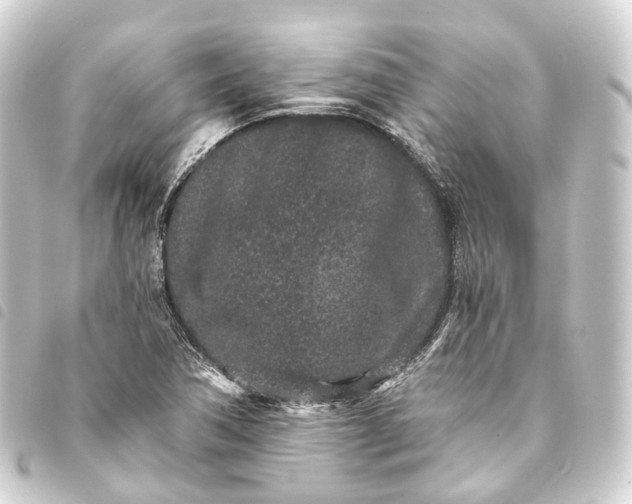 X0000093761362200710301136