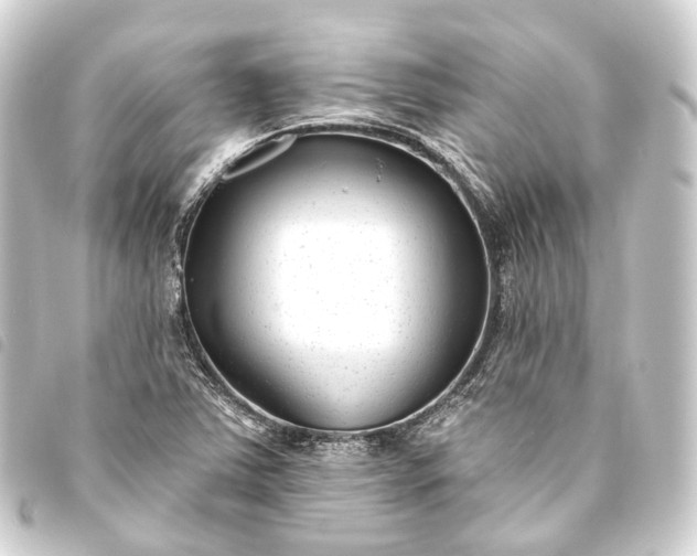 X0000093761363200710301136