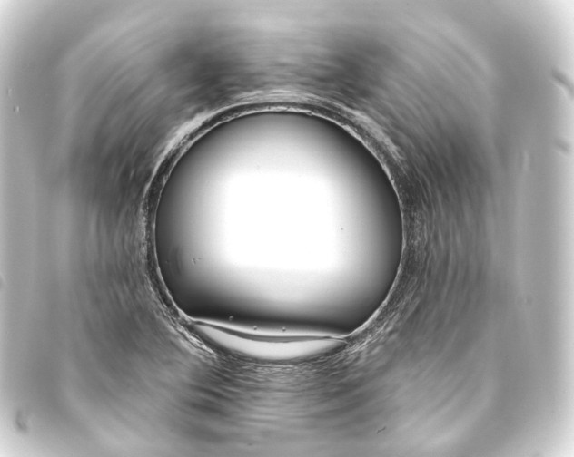 X0000093761364200710301136