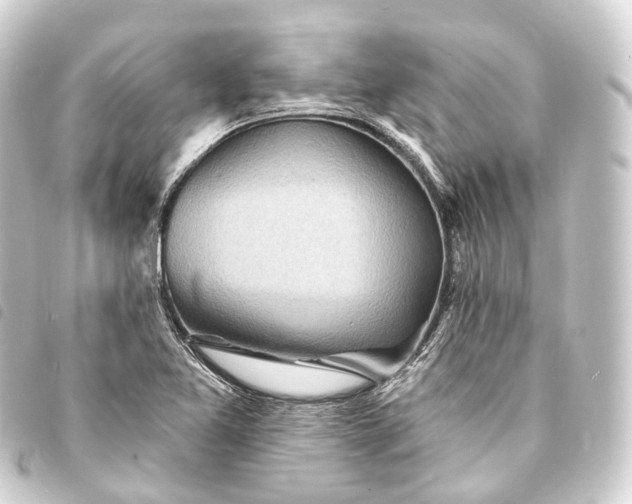 X0000093761365200710301136