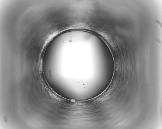 X0000093761366200710301136