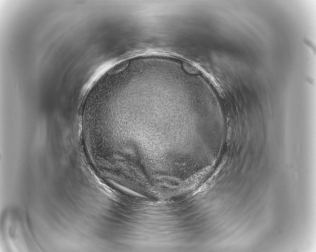 X0000093761367200710301136