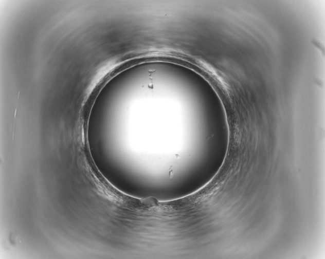 X0000093761368200710301136