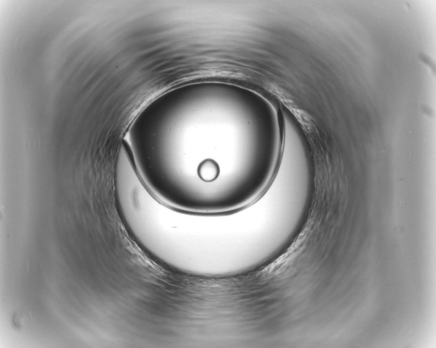 X0000093761369200710301136