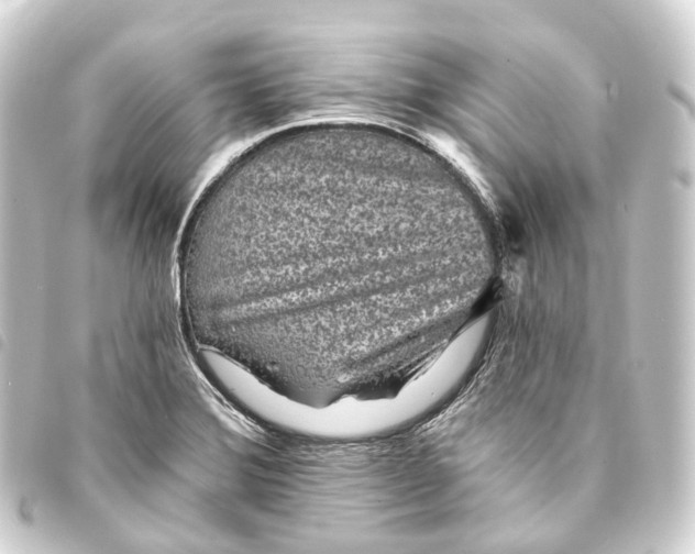 X0000093761372200710301136