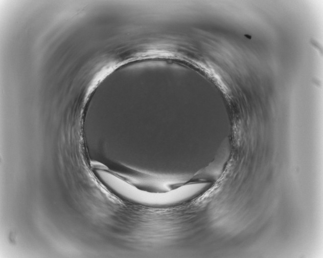 X0000093761373200710301136