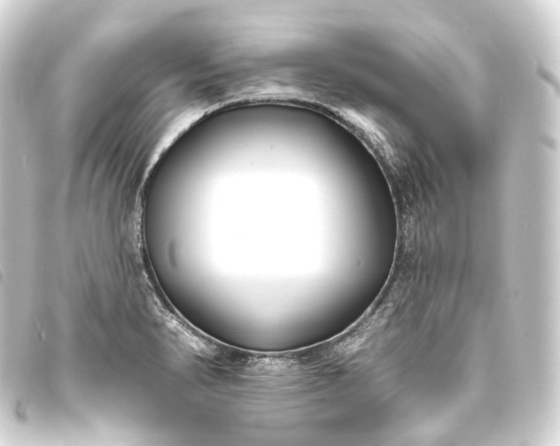 X0000093761374200710301136