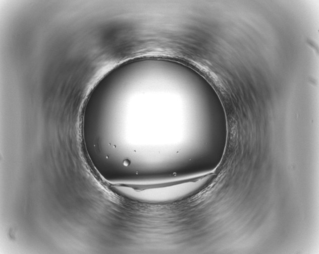 X0000093761375200710301136