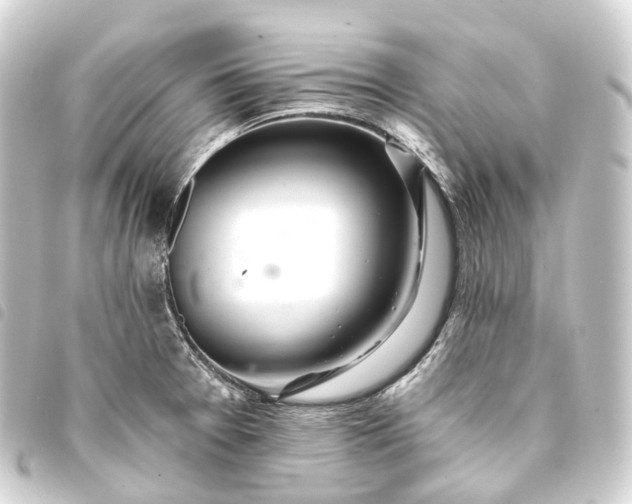 X0000093761377200710301136