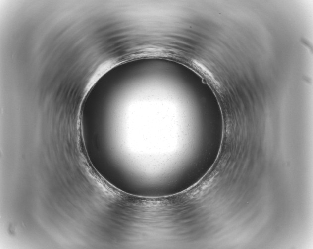 X0000093761378200710301136