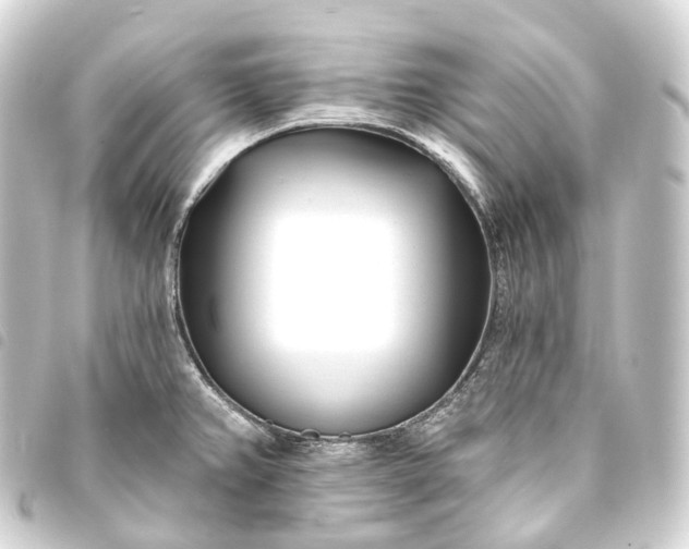 X0000093761382200710301136