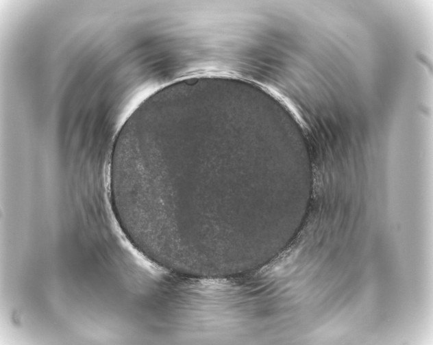 X0000093761383200710301136